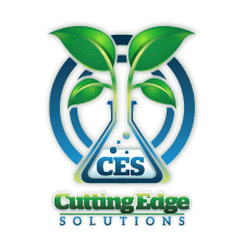 Link to Cutting Edge Solutions