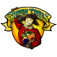 Link to Green Trees 